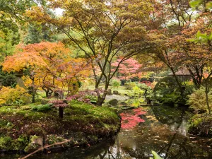 Japanse tuin landgoed Clingendael De Japanse tuin in bloei. Foto: The Hague & Partners © Fleur Beemster