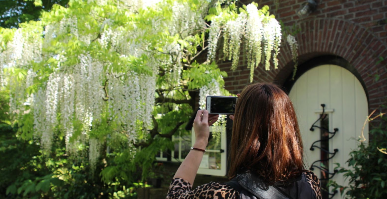 De hortus botanicus is een fotogenieke hotspot waar je helemaal los kunt gaan met je camera. Foto: DagjeWeg.NL.