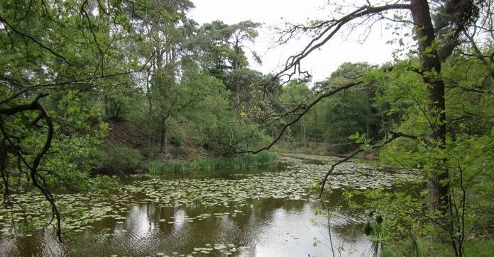 Vakantieparken in Noord-Brabant
