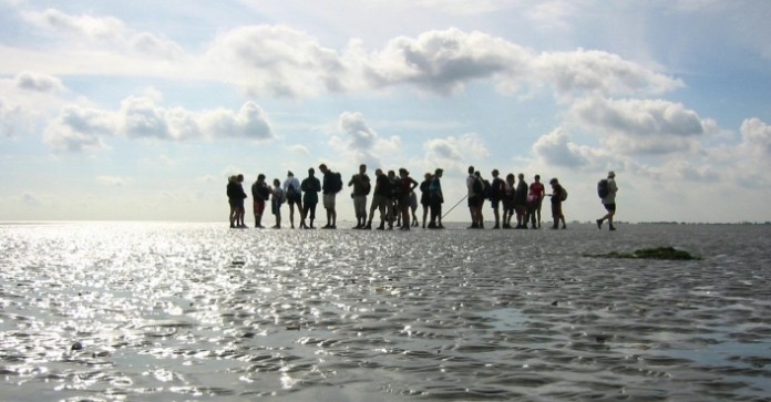 Wandelen op een drooggevallen Waddenzee