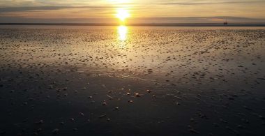 Eilandhoppen op de Wadden