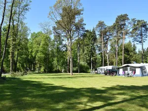 Kamperen in het groen. Foto: Ommerland © Manon Loots