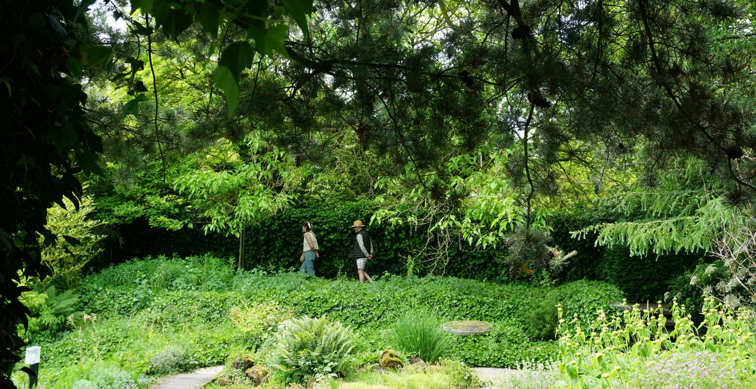 Veel groen en beschaduwde paadjes in de Oude Tuin. Foto: DagjeWeg.NL © Tonny van Oosten