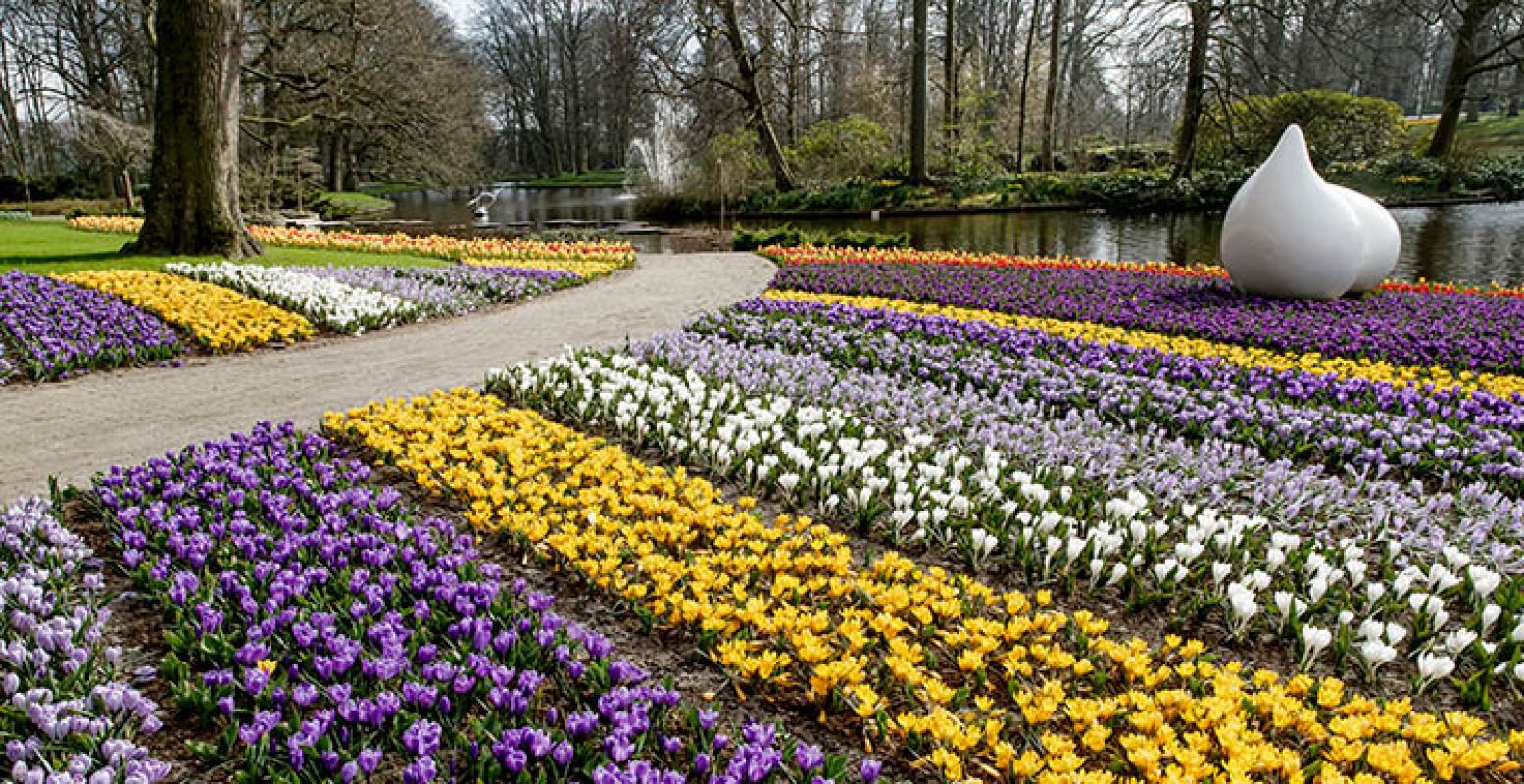 Vier de lente tussen prachtige bloemenvelden in de Gouden Eeuw inspiratietuin en de Delfts blauwe tuin. Foto: Keukenhof.