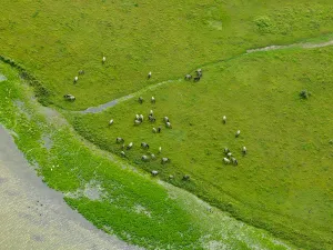 Foto: Provincie Zeeland © Sky Pictures