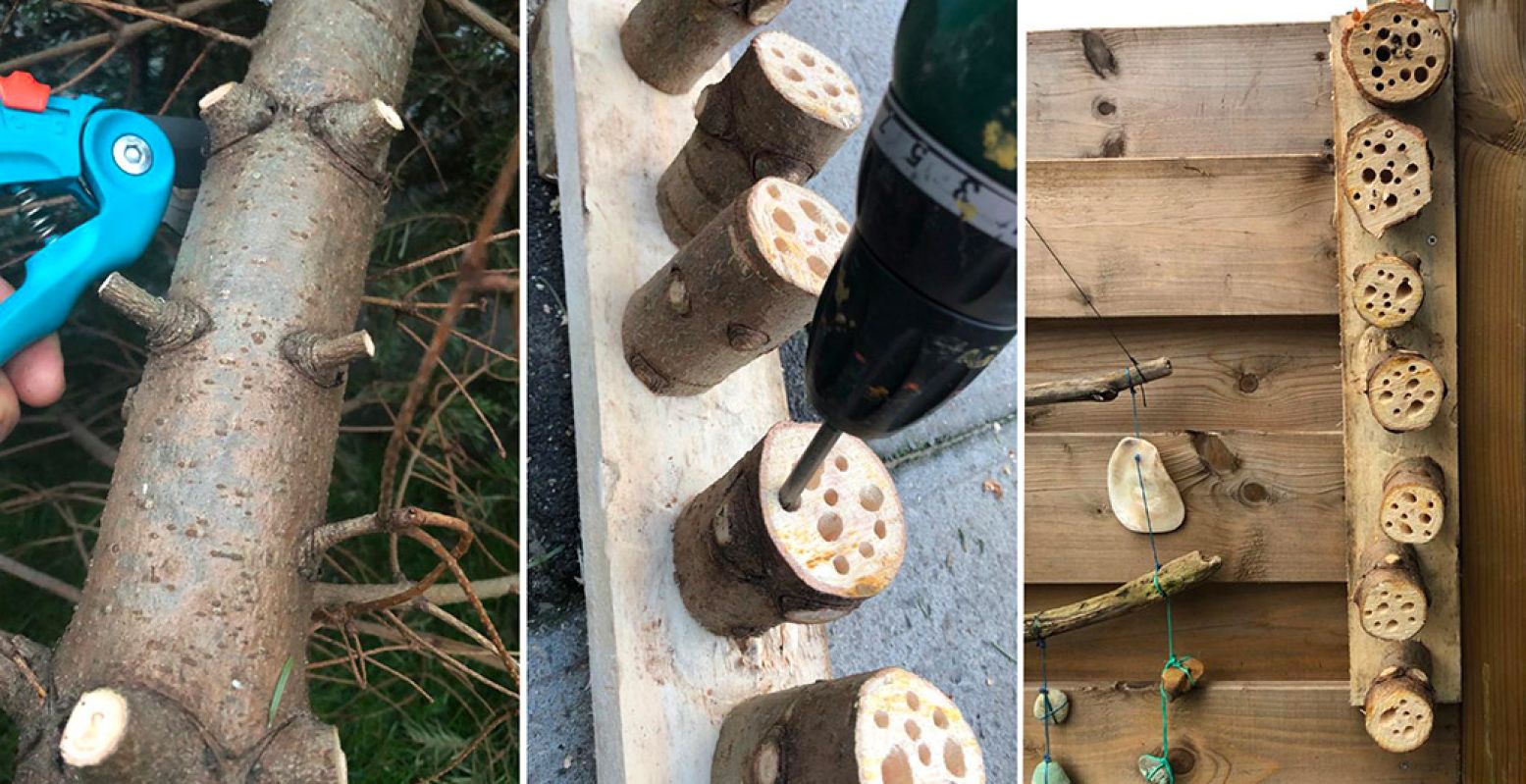 Samen met papa of mama de kerstboom een tweede leven geven als insectenhotel. Ook leuk voor op een balkon. Foto: Natuurmonumenten