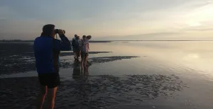 Wandelen op een drooggevallen Waddenzee Tijdens het wadlopen heb je een mooi uitzicht over de drooggevallen waddenzee. Foto: DagjeWeg.NL.