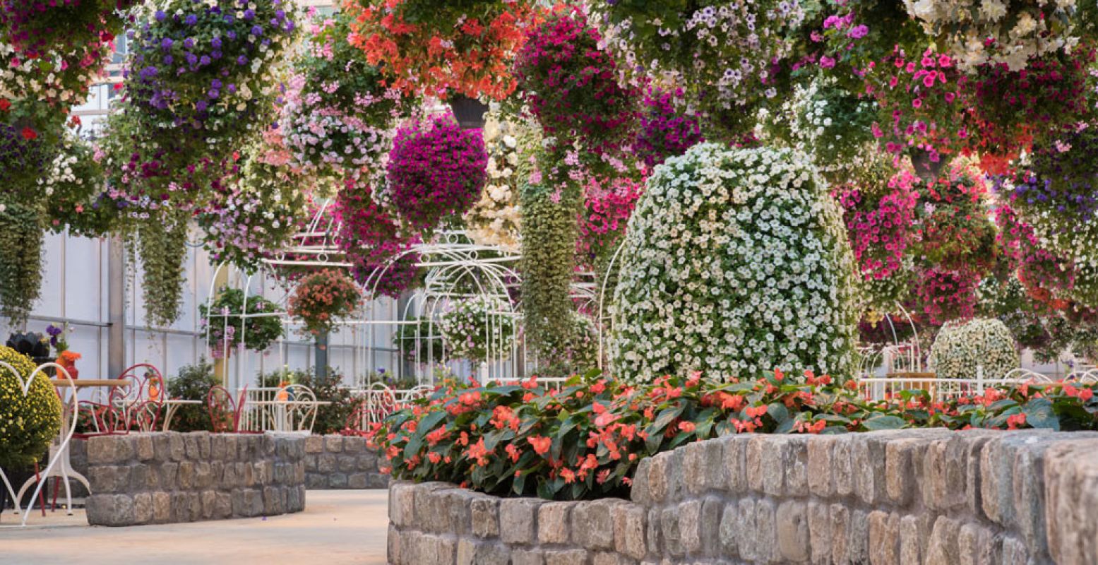 De Zwevende Bloementuin maakt indruk. Foto: Orchideeën Hoeve