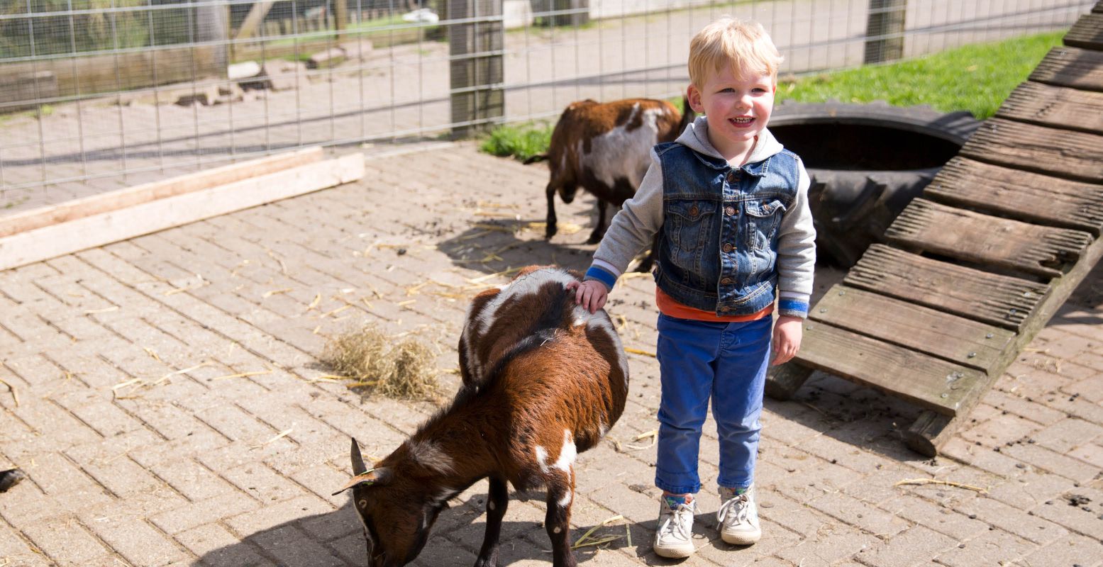Knuffel met de dieren bij de kinderboerderij. Foto: Speelboerderij De Flierefluiter