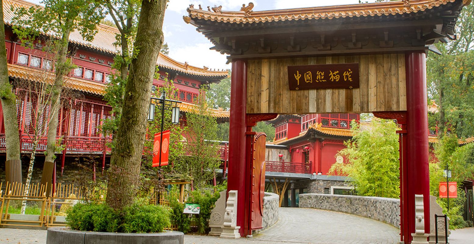 Pandasia in Ouwehands Dierenpark is al meerdere malen uitgeroepen tot het mooiste reuzenpandaverblijf ter wereld. Foto: Ouwehands Dierenpark Rhenen