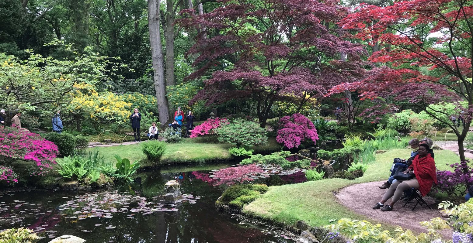 Bezoek de prachtige Japanse tuin vanaf dit weekend. Foto: Grytsje-Anna Pietersma