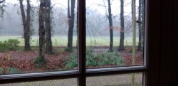 Winterse wandeling in de Hattemse bossen