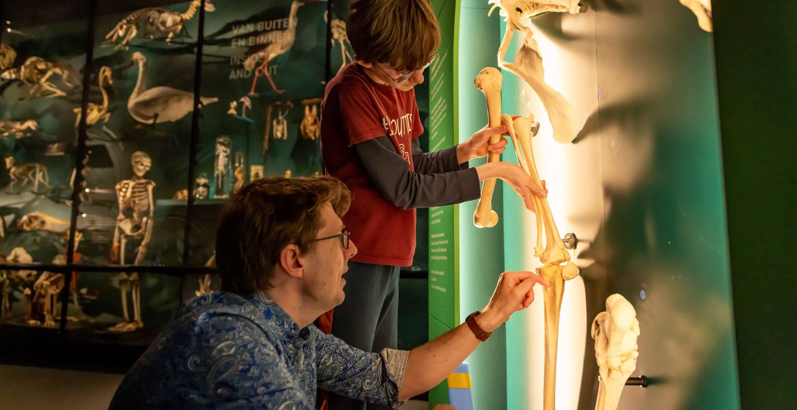 Met Pasen is er weer van alles te doen! Zoals botten onderzoeken in Universiteitsmuseum Utrecht. Foto: Universiteitsmuseum Utrecht