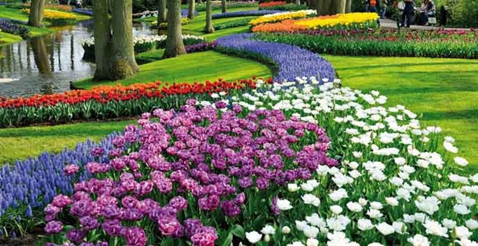 De Keukenhof in de zomer. Maar ook nu al staan de tuinen in bloei. Foto: Keukenhof