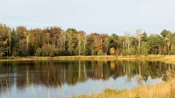 leersumse veld | Foto ge&uuml;pload door gebruiker Staatsbosbeheer.
