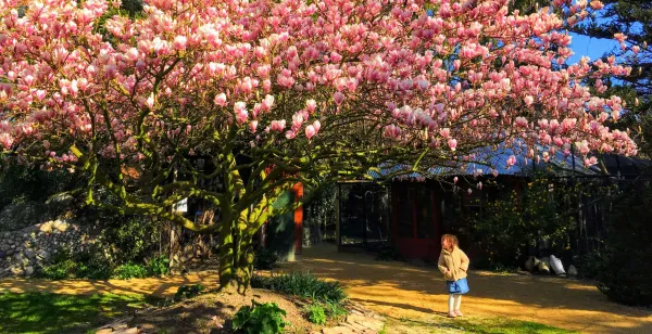 Wandel in stilte door een dierenpark