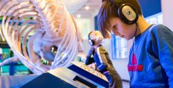 4 bijzondere dieren in de Nederlandse musea