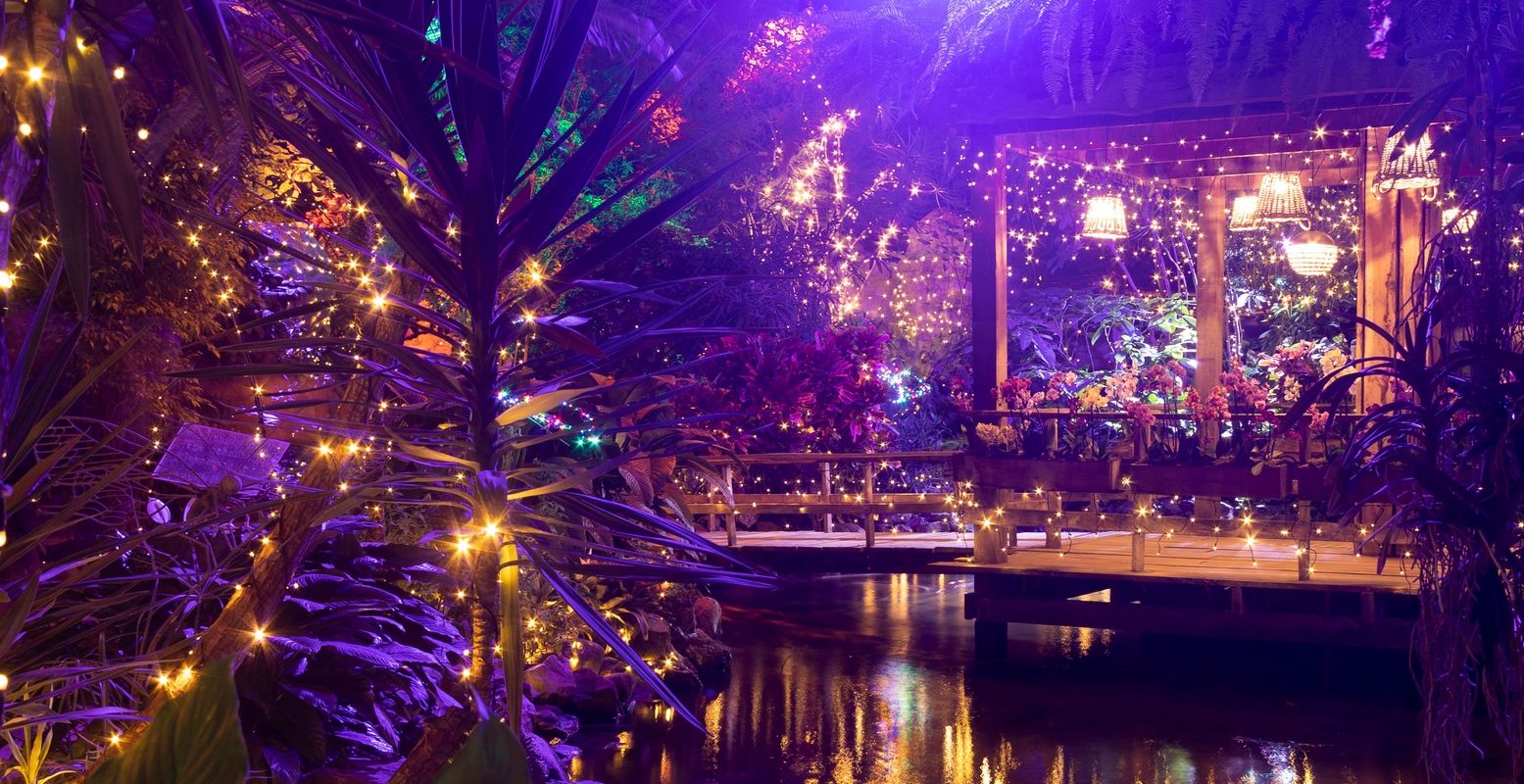 Beleef de kerstsfeer in een jungle, betoverend mooi! Vooral tijdens de kaarsjesavonden. Foto: Junglepark de Orchideeën Hoeve