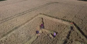 Graancirkels in Friesland? Nee, een ode aan Escher!