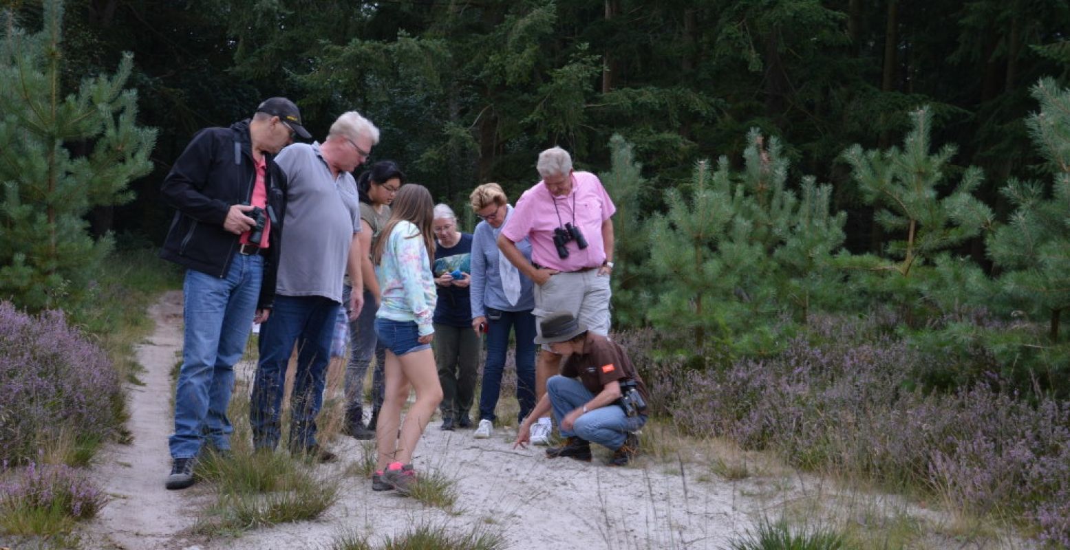 Ga op avontuur op het Boomkroonpad. Foto: Buitencentrum Boomkroonpad