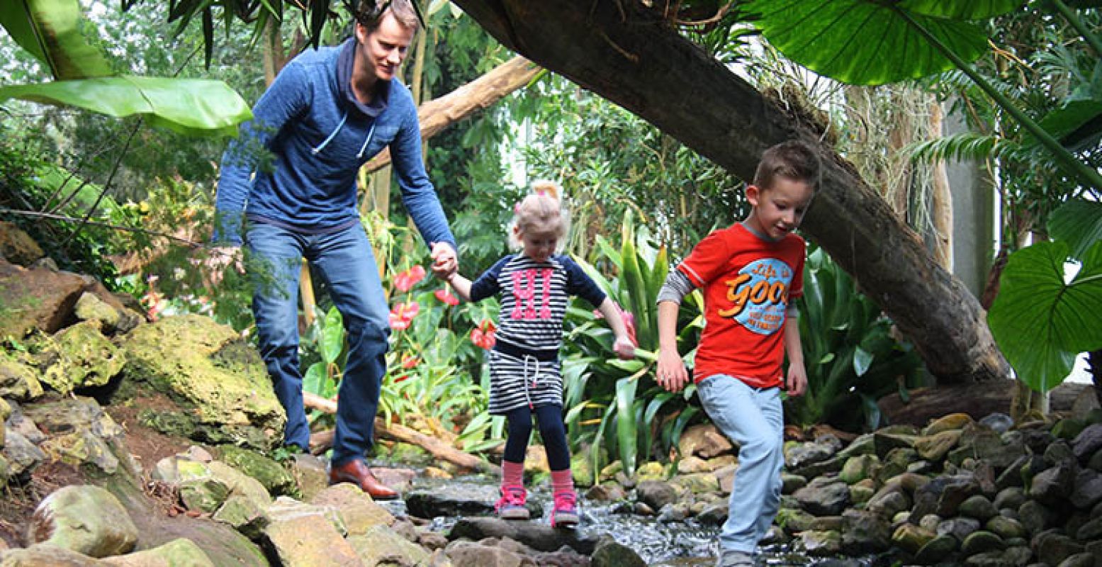 Ga samen op onderzoek uit in de jungle. Foto: Orchideeën Hoeve.