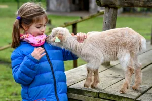 Natuurlijk vind je ook geitjes op Kinderboerderij Uden. Foto: © Peter Noy