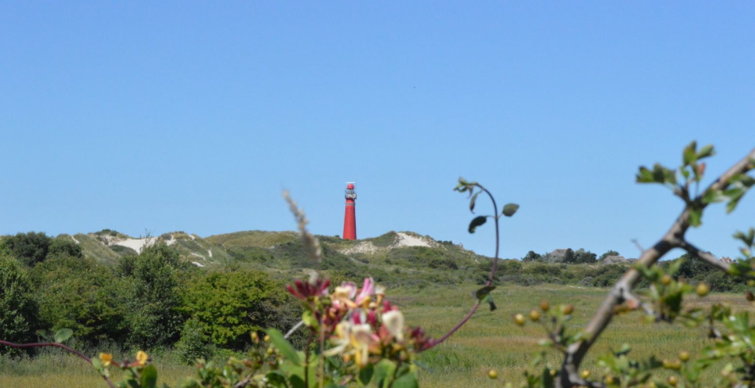 Even weg in eigen land. Vier vakantie met zicht op zee, in een huisje aan de Hollandse kust. Foto: DagjeWeg.NL.