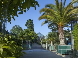 Hortus Botanicus Leiden