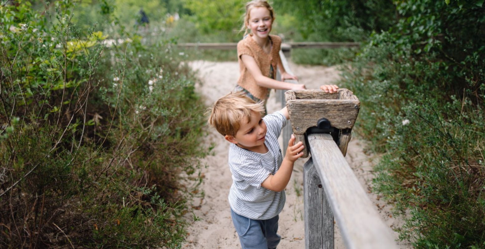 Gratis, leuk en gezond: spelen in een natuurspeeltuin! Zoals in Speelbos Zandspoor. Foto: Staatsbosbeheer © Marleen Annema Fotografie.