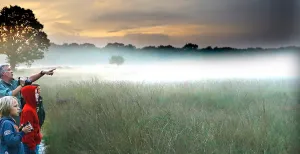 Dagje uit in de natuur met de kids Wandelen, fietsen, picknicken of wild spotten: in Natuurpark De Hoge Veluwe is van alles te doen. Foto: Nationaal Park De Hoge Veluwe