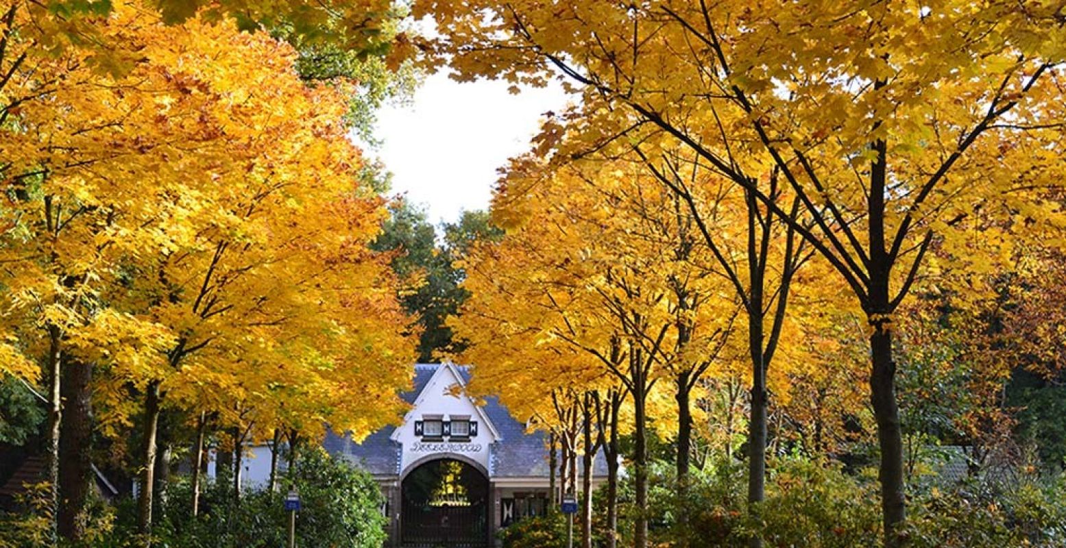 De herfst: tijd voor romantiek! Plan een date in de herfstvakantie. Foto: Redactie DagjeWeg.NL © Mathilde van Ravensberg.