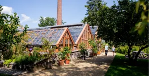 Ontspannend en leerzaam: dwaal door een botanische tuin Geniet van een wandeling door de Oude Hortus en bewonder de oude kassen. Foto: Universiteitsmuseum Utrecht