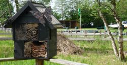 4 originele uitjes voor de voorjaarsvakantie