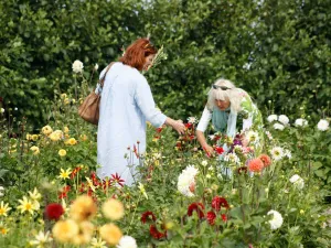 Foto: Pluktuin Bakkum