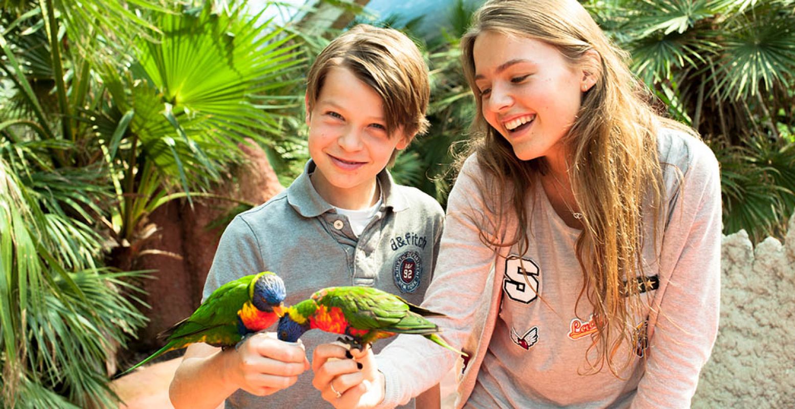 Kom lori's voeren in Vogelpark Avifauna! Via DagjeWeg.NL Tickets krijg je 30% korting op je kaartje. Foto: Vogelpark Avifauna.