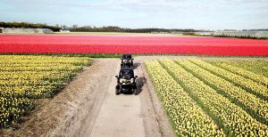 Over de foto: Samen toeren door het kleurrijke landschap in de Bollenstreek en natuurlijk foto's maken in de bloemenzee! Foto: Renzy.nl. Samen toeren door het kleurrijke landschap in de Bollenstreek en natuurlijk foto's maken in de bloemenzee! Foto: Renzy.nl.