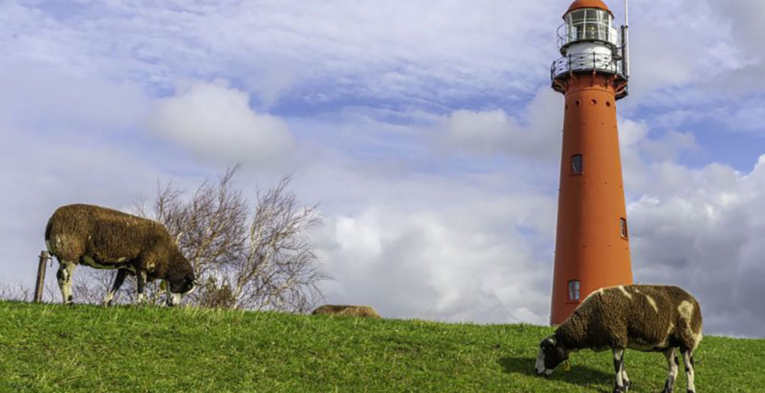 Over de LF Kustroute langs de kust bij Den Helder. Foto: Jessica de Korte