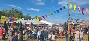 Fotobeschrijving: Zomerfestival. Foto: Tom Valkering.