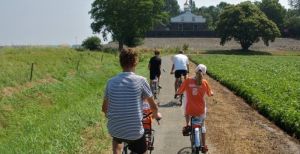 Over de foto: Samen op de fiets langs de toeristische hotspots in de Noordoostpolder. Foto: Route 8317 Samen op de fiets langs de toeristische hotspots in de Noordoostpolder. Foto: Route 8317