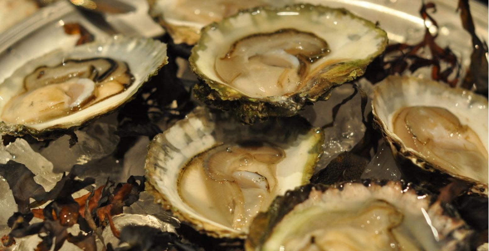 'Oysters'. Fotograaf: cwasteson. Licentie: Sommige rechten voorbehouden. Bron: Flickr.com