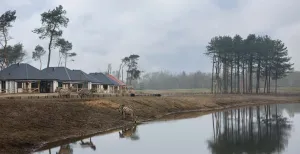 Slaap midden op de savanne in Beekse Bergen