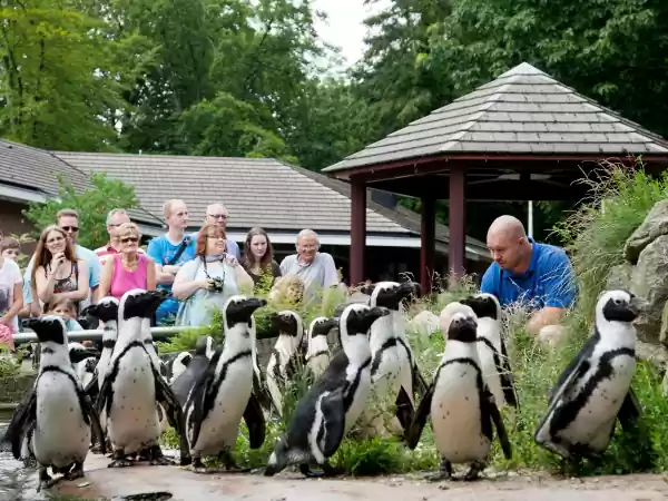 Ontmoet allerlei dieren in het dierenpark. Foto: Burgers' Zoo © Theo Kruse