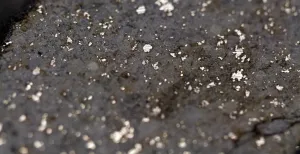Stukje hemel op Aarde: Naturalis onderzoekt zeldzame meteoriet Meteorieten worden zelden in Nederland gevonden. Deze vondst is dus erg zeldzaam en bijzonder. Foto: Naturalis.