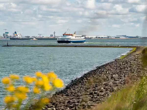 Westerschelde Ferry Geniet van het uitzicht vanaf de boot. Foto: Westerschelde Ferry