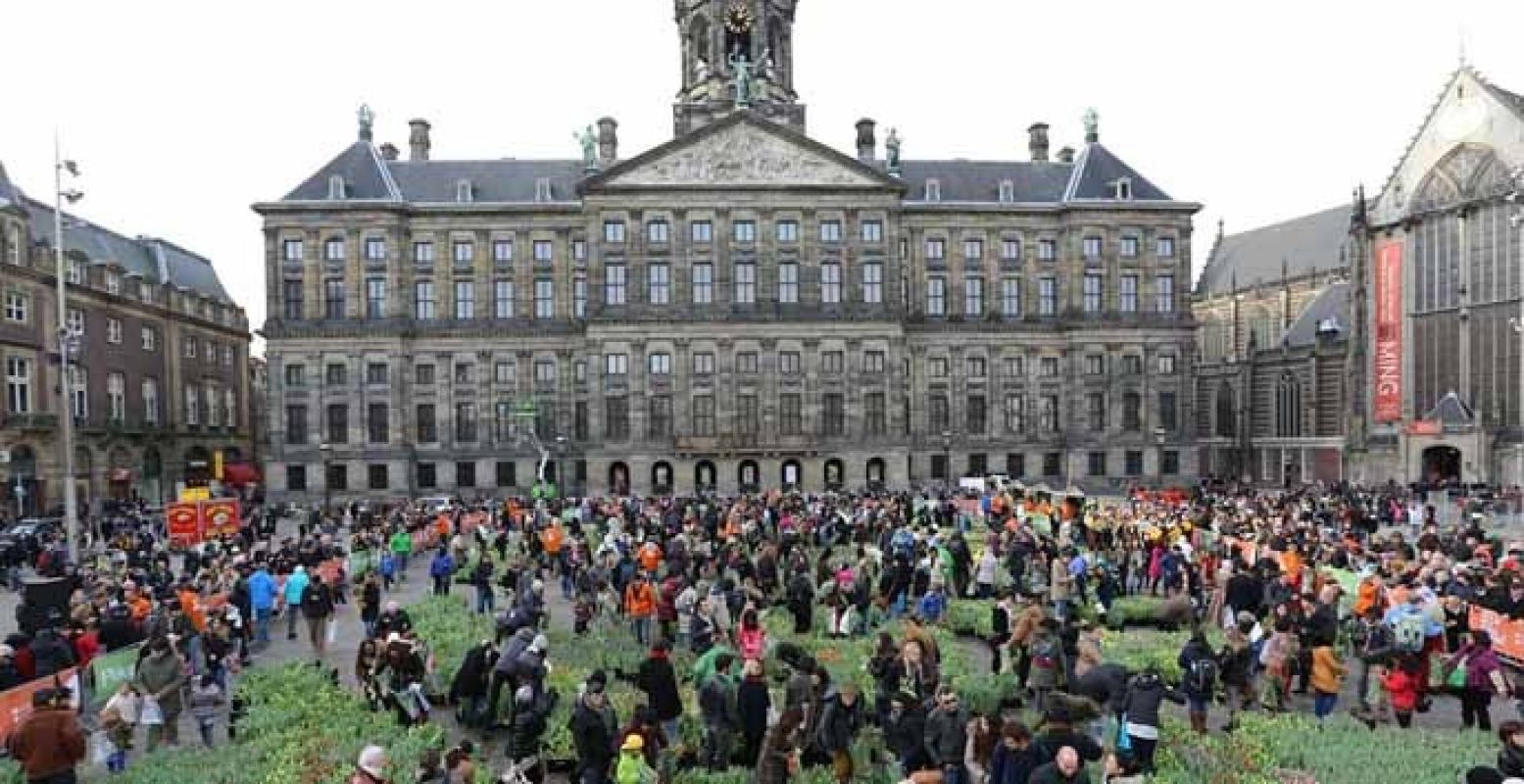 Het Paleis op de Dam is het decor van de Tulpendag. Foto: Stichting Tulpenpromotie Nederland