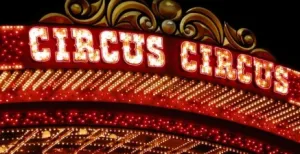 Dagje weg met Boer zoekt Vrouw Samen genieten van een circusvoorstelling. Foto: freeimages.com