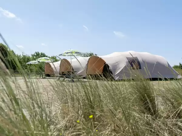 Tussen het wuivende groen geniet je hier van je vakantie. Foto: Duincamping De Lepelaar