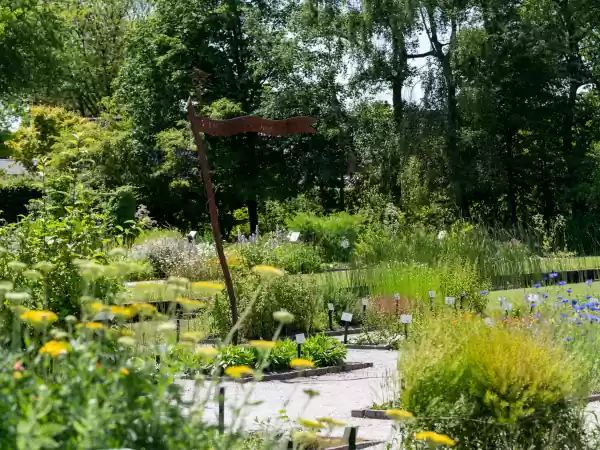 Ontdek de enorme collectie aan geneeskrachtige kruiden. Foto: De Kruidhof