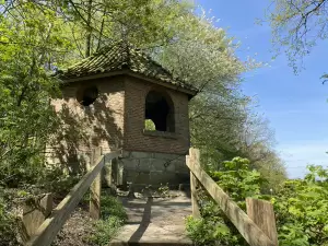 Natuurgebied Tankenberg Foto: Tourist info De Lutte-Losser