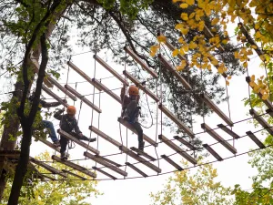 Klimbos Harderwijk Ga klimmen met het gezin. Foto: Klimbos Harderwijk